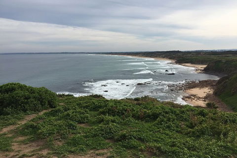 Half Day Phillip Island Woolamai Walking Tour - Attractions Melbourne 10