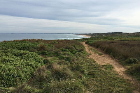 Half Day Phillip Island Woolamai Walking Tour - Attractions Melbourne 3