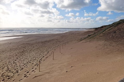 Half Day Phillip Island Woolamai Walking Tour - Attractions Melbourne 7