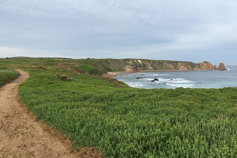 Half Day Phillip Island Woolamai Walking Tour - Attractions Melbourne 9