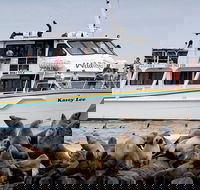 Phillip Island Seal-Watching Cruise - Attractions Melbourne