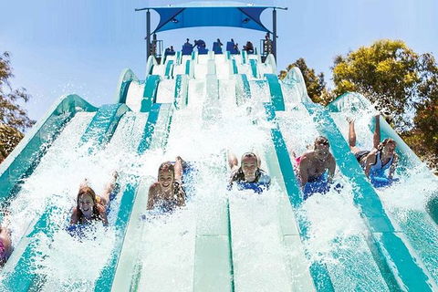 Adventure Park Geelong: General Admission Ticket - Attractions Melbourne 1