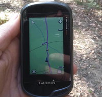 GPS guided walks in the Daylesford Forest - Attractions Melbourne