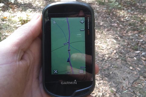 GPS Guided Walks In The Daylesford Forest - Attractions Melbourne 0