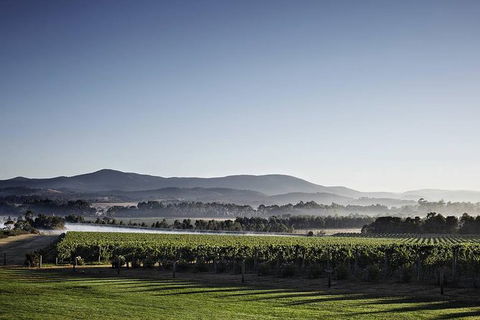 Luxury Chauffeured Yarra Valley Wine Tour With Lunch - For 2 - Attractions Melbourne 3