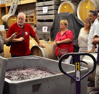 5 Hour Private Wine Tour - Attractions Melbourne