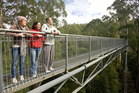 Adventure Sunset Three Day Great Ocean Road Tour - Attractions Melbourne 14