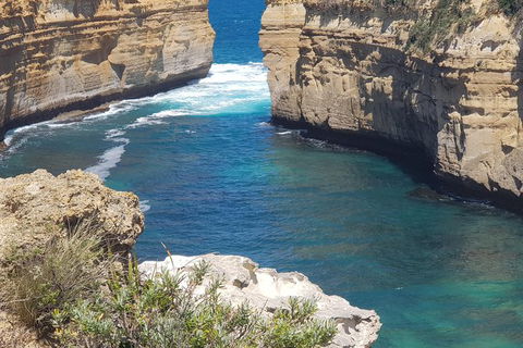 Adventure Sunset Three Day Great Ocean Road Tour - Attractions Melbourne 27