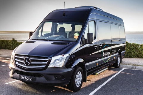 Ultimate Reverse Direction - 12 Apostles, Great Ocean Road - Small Group Tour - Attractions Melbourne 4