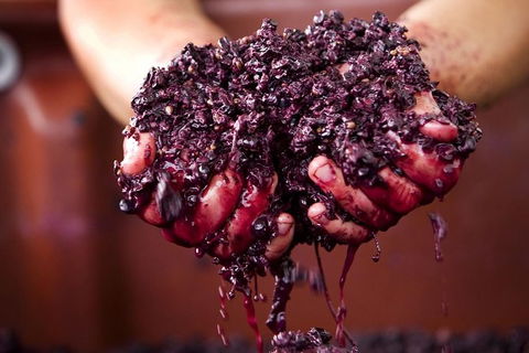 CHEVY CONVERTIBLE Package For 4 -Wine Lunch Cheese & Chocolate From Yarra Valley - Attractions Melbourne 5