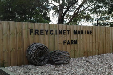 Wineglass Bay And Freycinet National Park Active Day Trip From Hobart - Attractions Melbourne 20