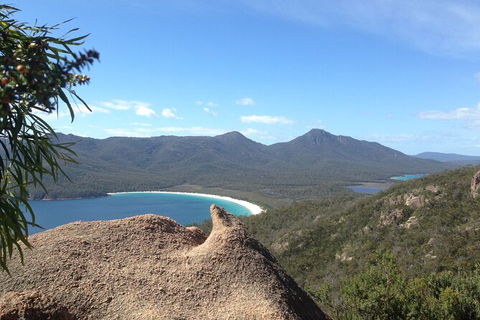 Wineglass Bay And Freycinet National Park Active Day Trip From Hobart - Attractions Melbourne 33