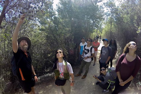 Wineglass Bay Explorer Active Day Trip From Launceston - Attractions Melbourne 8