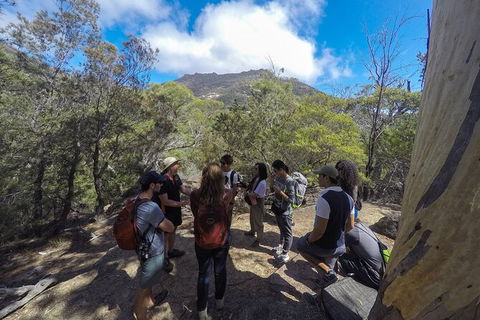 Wineglass Bay Explorer Active Day Trip From Launceston - Attractions Melbourne 3