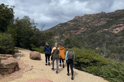Wineglass Bay Explorer Active Day Trip From Launceston - Attractions Melbourne 15