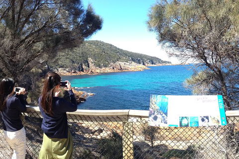 Wineglass Bay Explorer Active Day Trip From Launceston - Attractions Melbourne 24