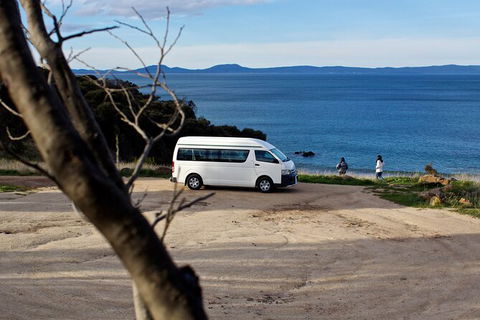 Wineglass Bay Explorer Active Day Trip From Launceston - Attractions Melbourne 10