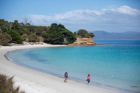 Maria Island Active Day Trip From Hobart - Attractions Melbourne 1