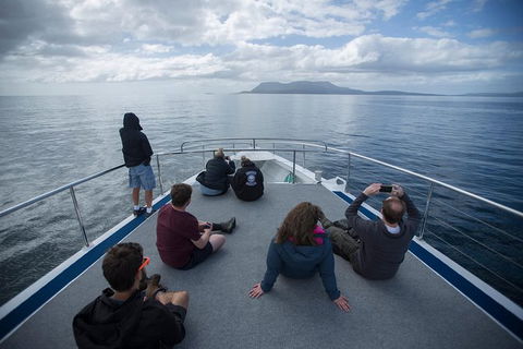 Maria Island Active Day Trip From Hobart - Attractions Melbourne 13