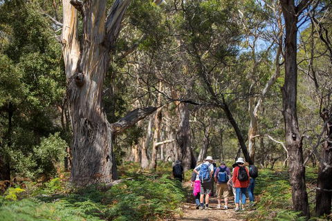 Maria Island Active Day Trip From Hobart - Attractions Melbourne 12