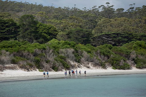 Maria Island Active Day Trip From Hobart - Attractions Melbourne 11