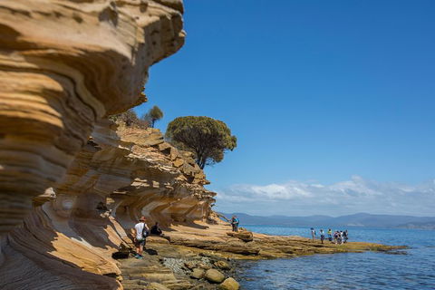 Maria Island Active Day Trip From Hobart - Attractions Melbourne 5