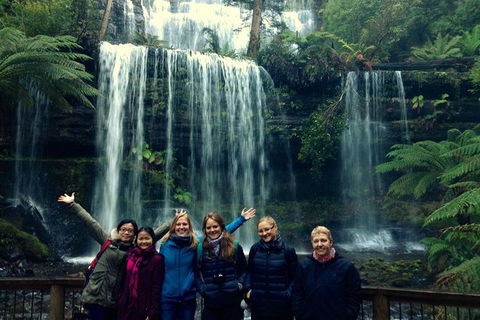 Mt Field National Park Active Day-Trip Including Bonorong And Mt Wellington - Attractions Melbourne 9
