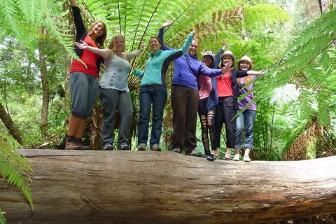 Mt Field National Park Active Day-Trip Including Bonorong And Mt Wellington - Attractions Melbourne 4