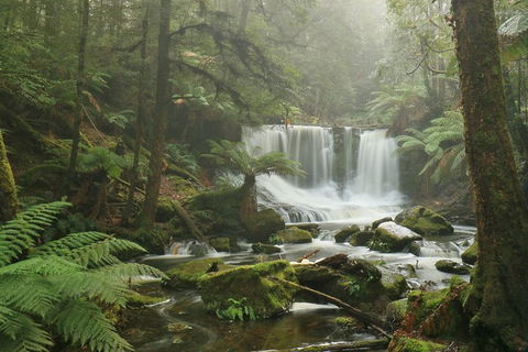 Mt Field National Park Active Day-Trip Including Bonorong And Mt Wellington - Attractions Melbourne 10