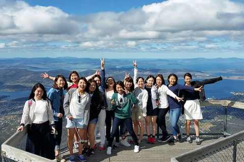 Mt Field National Park Active Day-Trip Including Bonorong And Mt Wellington - Attractions Melbourne 3