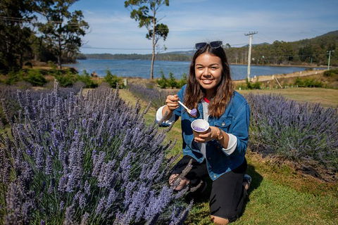 Port Arthur And Lavender Farm Active Day Tour - Attractions Melbourne 0