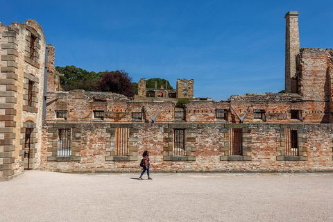 Port Arthur And Lavender Farm Active Day Tour - Attractions Melbourne 1