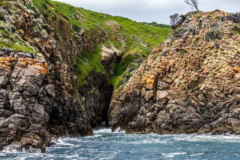 Hobart Sightseeing Cruise Including Iron Pot Lighthouse - Attractions Melbourne 1