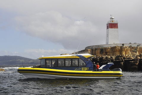 Hobart Sightseeing Cruise Including Iron Pot Lighthouse - Attractions Melbourne 7