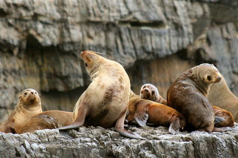 Full-Day Tasman Peninsula Tour From Hobart - Attractions Melbourne 22