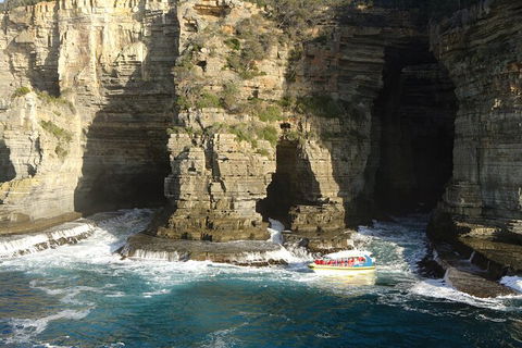 Full-Day Tasman Peninsula Tour From Hobart - Attractions Melbourne 18