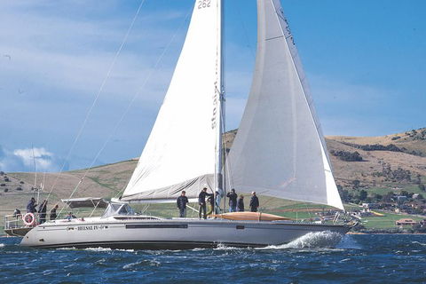 Half-Day Sailing On The Derwent River From Hobart - Attractions Melbourne 5