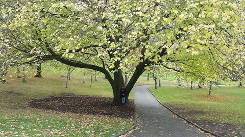 Hobart City Sightseeing Tour Including MONA Admission - Attractions Melbourne 3