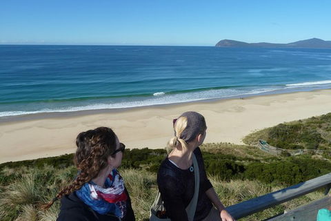 Small-Group Day Trip From Hobart To Bruny Island - Attractions Melbourne 9