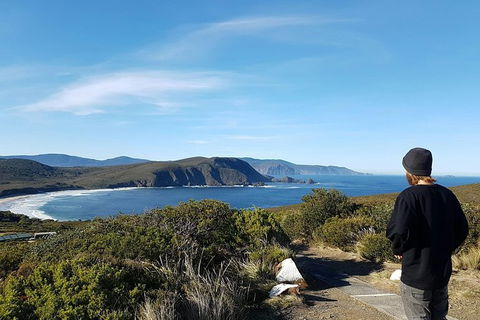 Small-Group Day Trip From Hobart To Bruny Island - Attractions Melbourne 6
