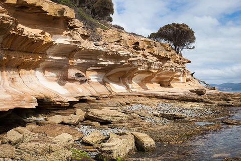 Maria Island Premium Private Photo-oriented Day Tour From Hobart - Attractions Melbourne 2