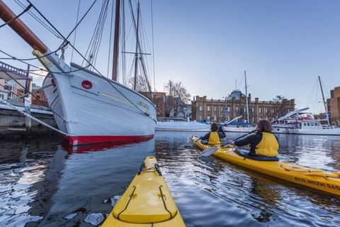 Hobart Kayak Tour - Attractions Melbourne 1