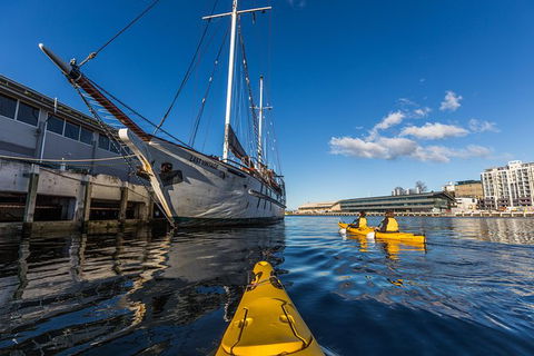 Hobart Kayak Tour - Attractions Melbourne 8