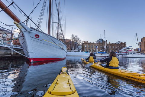 Hobart Kayak Tour - Attractions Melbourne 5