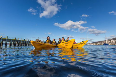 Hobart Kayak Tour - Attractions Melbourne 7