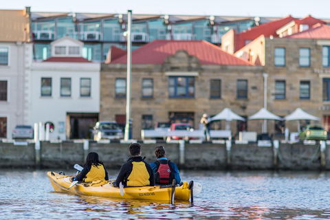 Hobart Kayak Tour - Attractions Melbourne 6