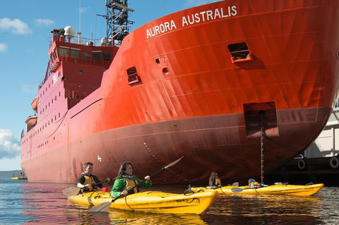 Hobart Kayak Tour - Attractions Melbourne 3
