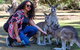 3-Day Tasmania Combo: Hobart To Launceston Active Tour - thumb 19