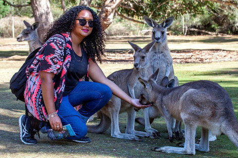 3-Day Tasmania Combo: Hobart To Launceston Active Tour - Attractions Melbourne 19