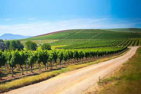 Full Day Tamar Valley Wine Tour - Attractions Melbourne 2